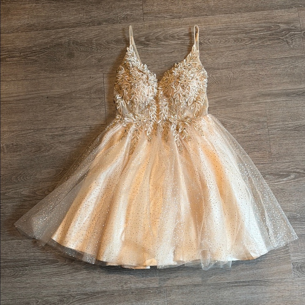 Cinderella Divine Sparkling Champagne Lace Tulle Dress